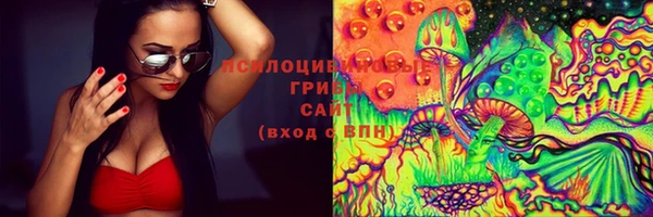 стаф Кукмор